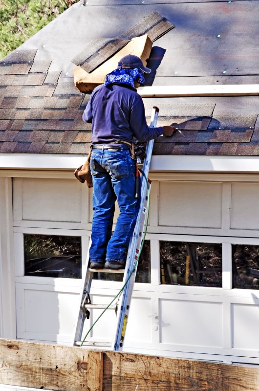 Professional Roofing Experts